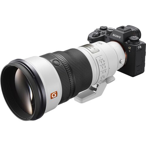 Amazon.com : Sony FE 300mm f/2.8 GM OSS Lens (Sony E) Bundle with
